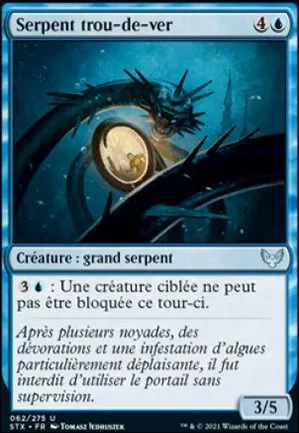 Serpent trou-de-ver