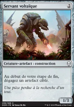 Servant voltaïque