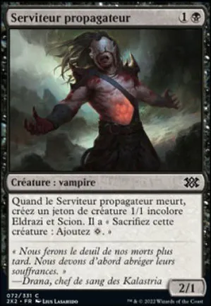 Serviteur propagateur