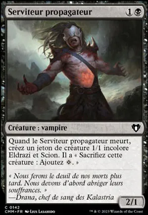 Serviteur propagateur