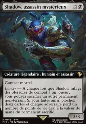 Shadow, assassin mystérieux