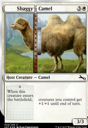 Shaggy Camel