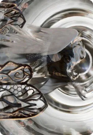 Shaile, doyenne de l'irradiance – Illustration