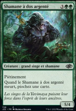 Shamane à dos argenté
