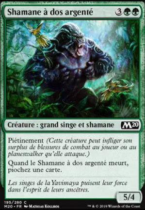 Shamane à dos argenté