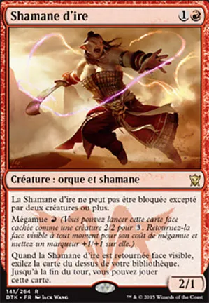 Shamane d'ire