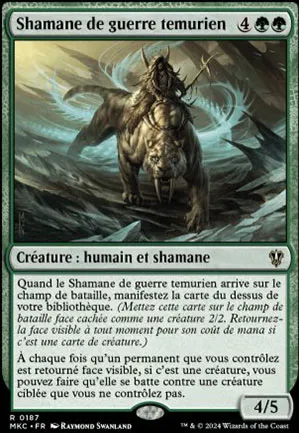 Shamane de guerre temurien