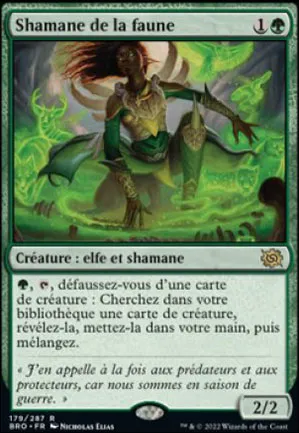 Shamane de la faune