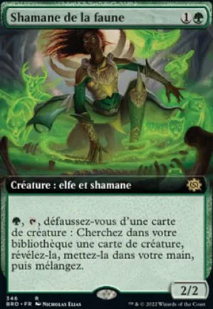 Shamane de la faune
