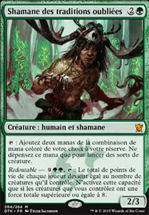 Shamane des traditions oubliées