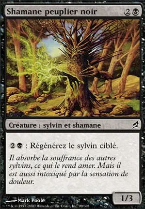 Shamane peuplier noir