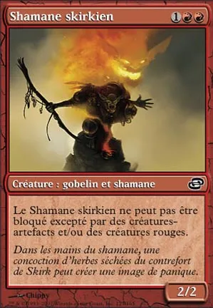 Shamane skirkien