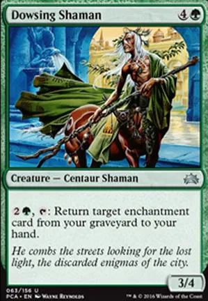 Shamane sourcier