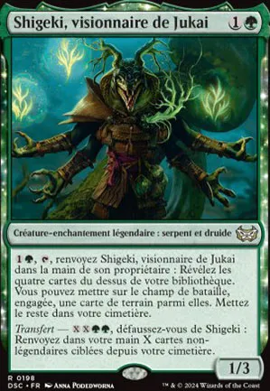 Shigeki, visionnaire de Jukai