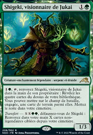 Shigeki, visionnaire de Jukai