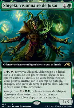 Shigeki, visionnaire de Jukai