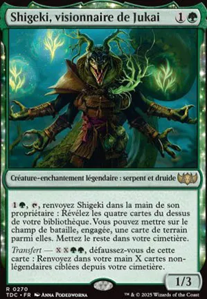 Shigeki, visionnaire de Jukai