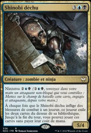 Shinobi déchu