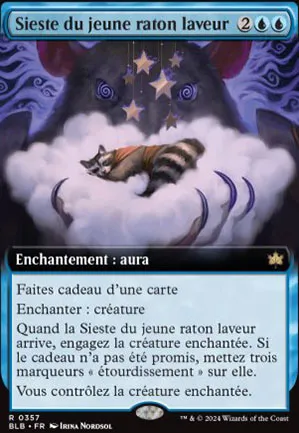 Sieste du jeune raton laveur