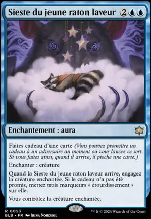 Sieste du jeune raton laveur