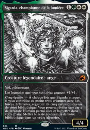 Sigarda, championne de la lumière