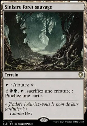 Sinistre forêt sauvage