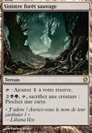 Sinistre forêt sauvage