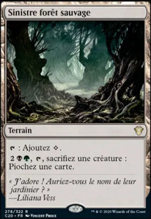Sinistre forêt sauvage