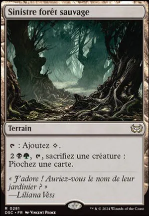 Sinistre forêt sauvage