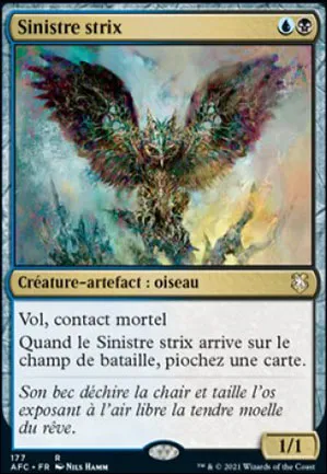 Sinistre strix