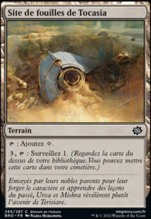 Site de fouilles de Tocasia