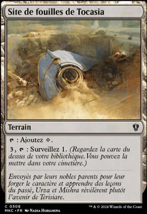 Site de fouilles de Tocasia