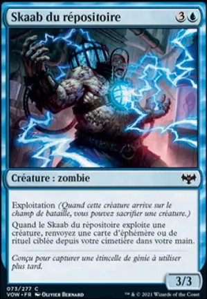 Skaab du répositoire