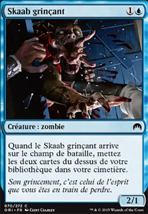 Skaab grinçant