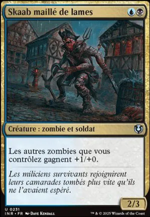 Skaab maillé de lames