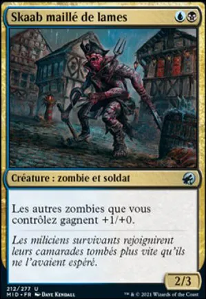 Skaab maillé de lames