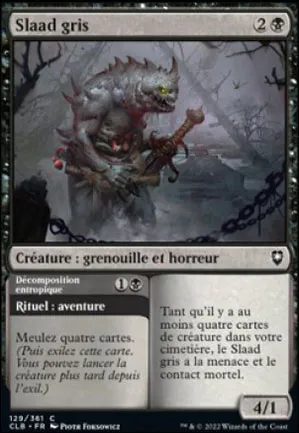 Slaad gris // Décomposition entropique