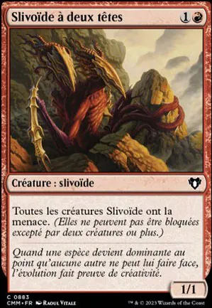 Slivoïde à deux têtes