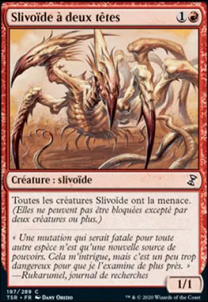 Slivoïde à deux têtes