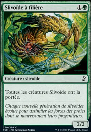 Slivoïde à filière