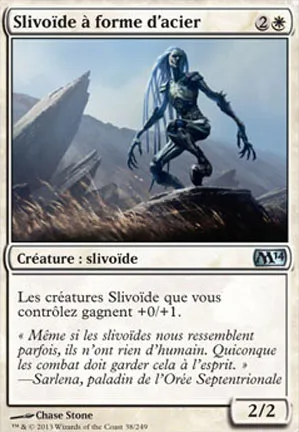 Slivoïde à forme d'acier