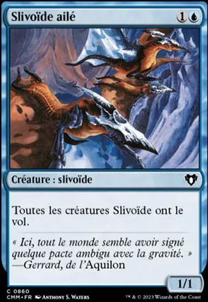 Slivoïde ailé