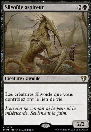 Slivoïde aspireur