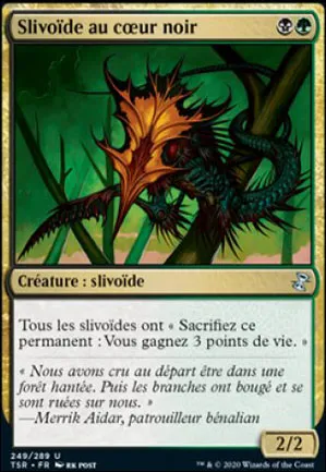 Slivoïde au cœur noir