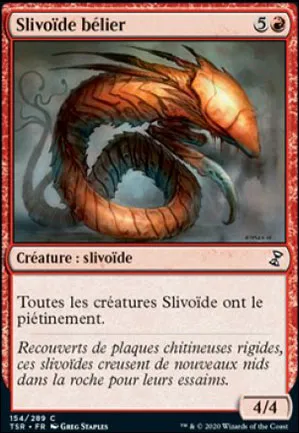 Slivoïde bélier