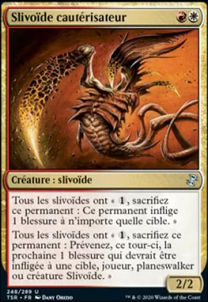 Slivoïde cautérisateur