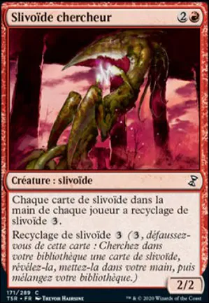 Slivoïde chercheur