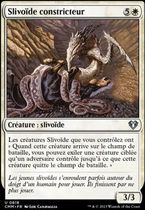 Slivoïde constricteur