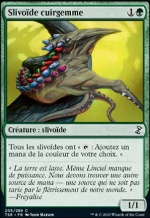 Slivoïde cuirgemme