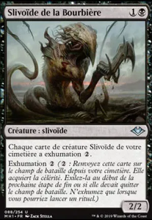 Slivoïde de la Bourbière